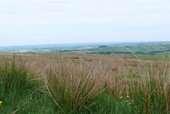 North Devon landscape